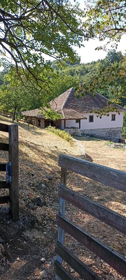瓦列沃Poljoprivredno Turisticko Domacinstvo Deguric公寓 外观 照片