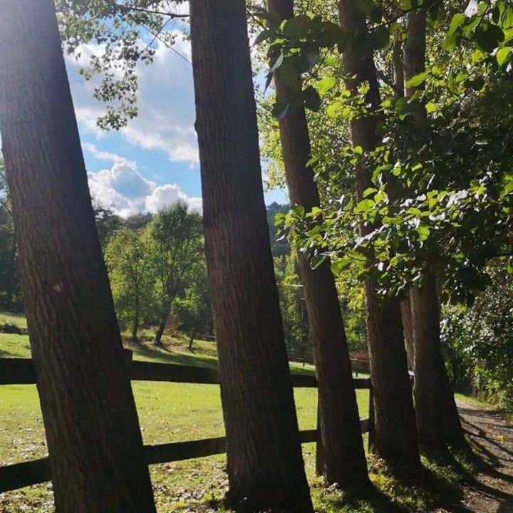 瓦列沃Poljoprivredno Turisticko Domacinstvo Deguric公寓 外观 照片